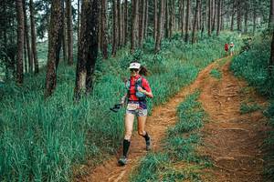 BIB: 
                            <button type="button" onclick="openModal(25653604)" class="btn btn-primary btn-sm float-right btn-popup" data-toggle="modal" data-target=".modal-high-quality">
                        <i class="fas fa-shopping-cart"></i> Add to Cart
                    </button>
                                            <button type="button" onclick="isThisMe(25653604, true)" class="btn btn-success btn-sm float-right btn-popup btn-isme hidden" data-toggle="tooltip" data-placement="bottom" title="นี่คือรูปของคุณใช่ไหม คลิกที่นี่เพื่อเอาเข้าอัลบั้ม">
                        <i class="fas fa-plus"></i> Add to album
                    </button>
                    <button type="button" onclick="isThisMe(25653604, false)" class="btn btn-warning btn-sm float-right btn-popup btn-isnotme hidden">
                        <i class="fas fa-ban"></i> Remove from album
                    </button>